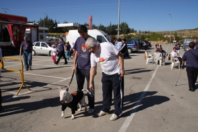  Carrera y marcha solidaria contra el cáncer 2008