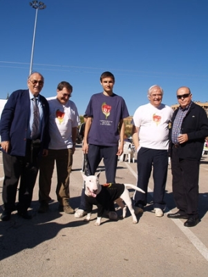  Carrera y marcha solidaria contra el cáncer 2008