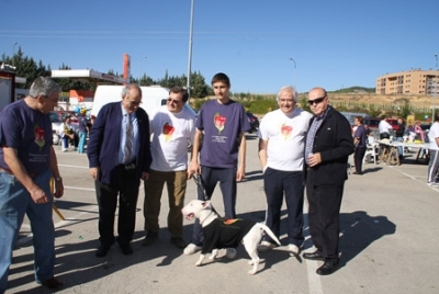  Carrera y marcha solidaria contra el cáncer 2008