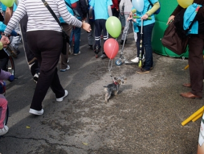 Carrera y marcha solidaria contra el cáncer 2009